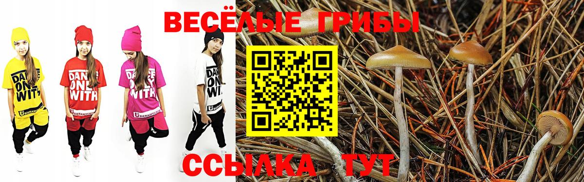 Фурманов  Галлюциногенные грибы Magic Shrooms  Вход с VPN 