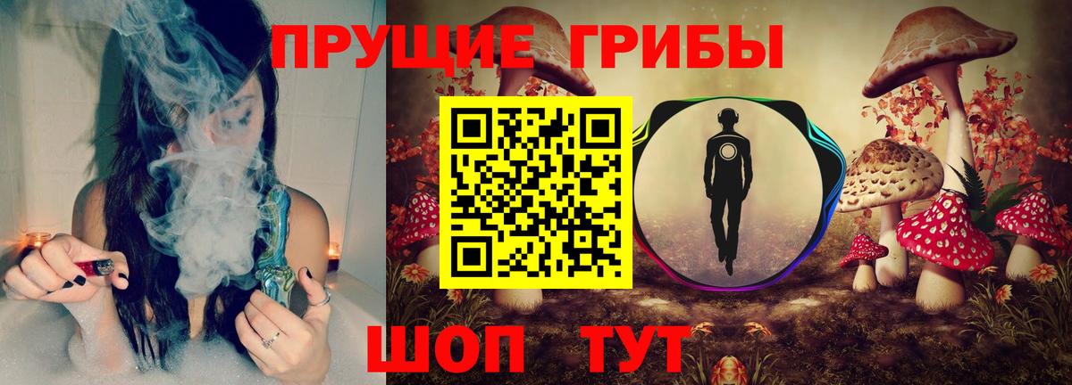 Псилоцибиновые грибы GOLDEN TEACHER Фурманов