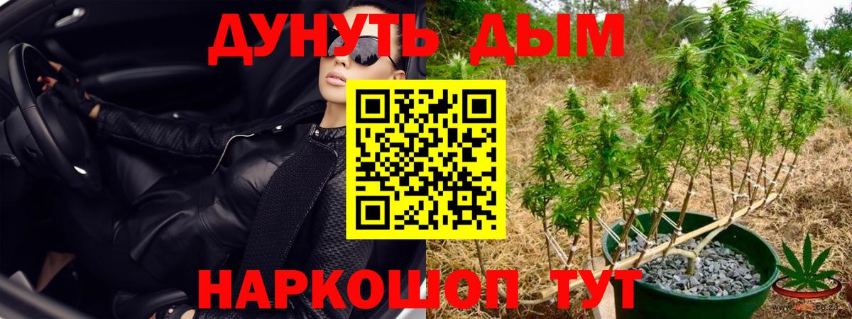 Марихуана конопля  Вход с VPN  Фурманов  Каннабис White Widow  Бошки марихуана White Widow 
